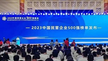 必威betway精装版app位列2023中国民营企业500强第203位、2023中国制造业民营企业500强第139位