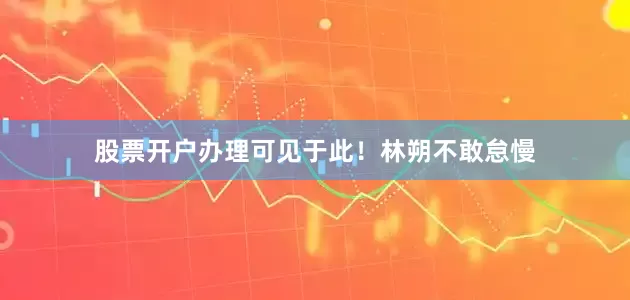 股票开户办理可见于此！林朔不敢怠慢