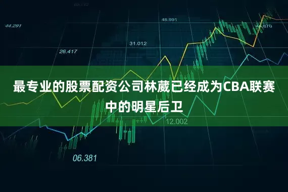 最专业的股票配资公司林葳已经成为CBA联赛中的明星后卫